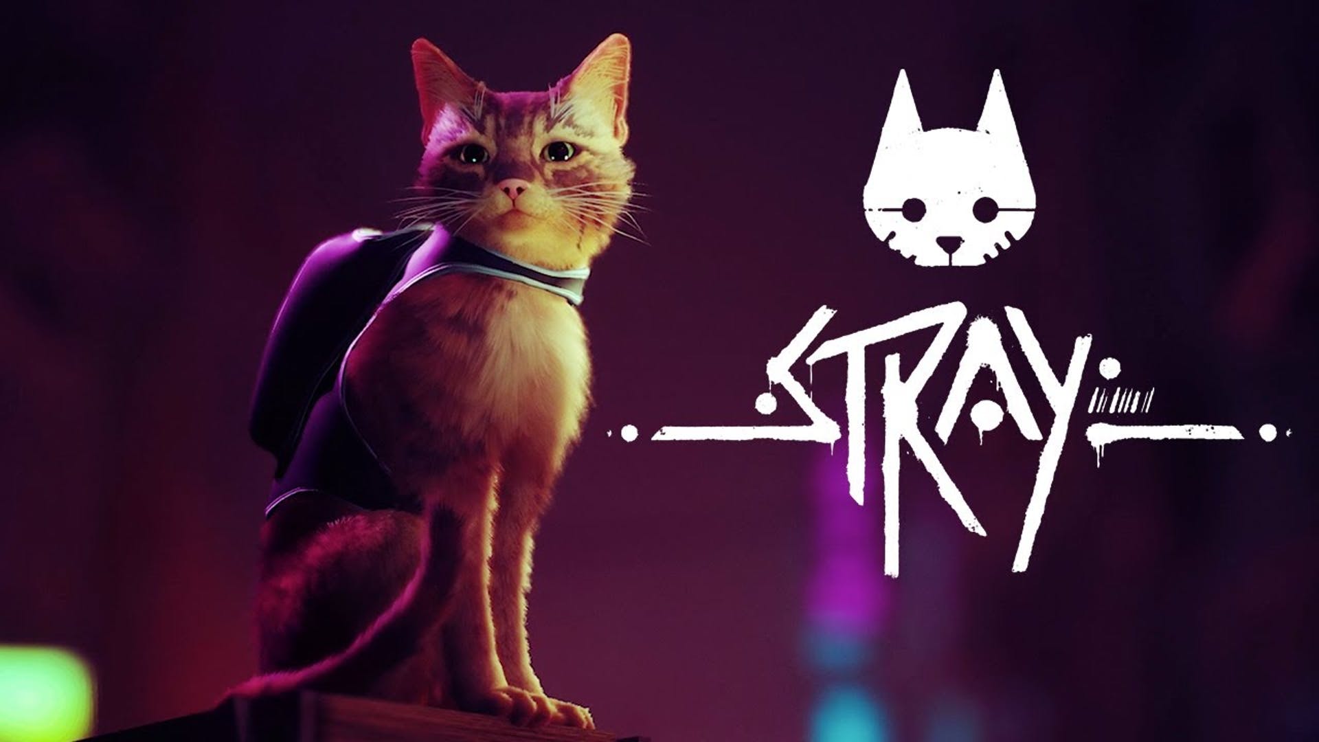 Stray: Jogo se torna o mais bem avaliado da Steam em 2022