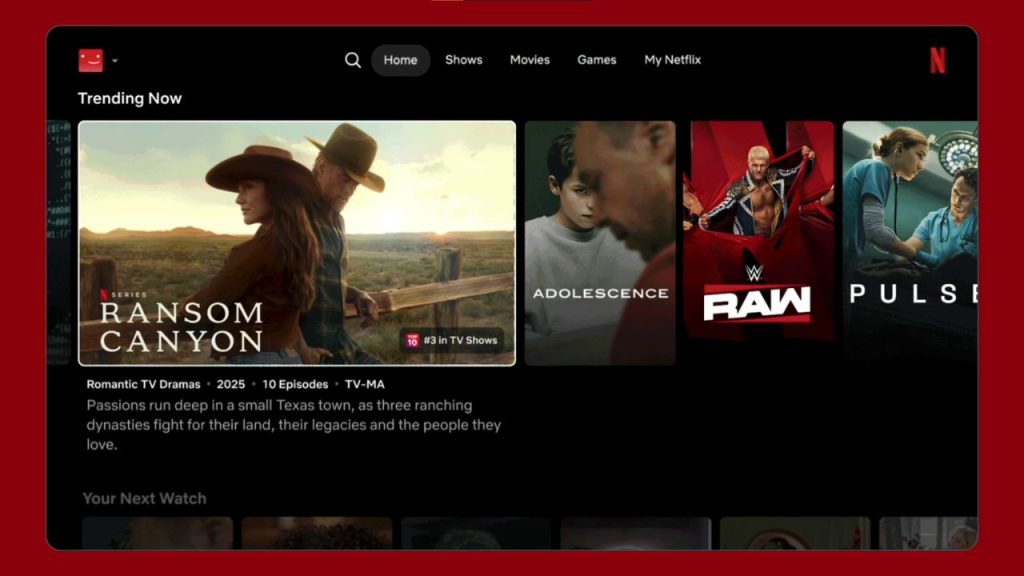 Netflix Interface IA TikTok