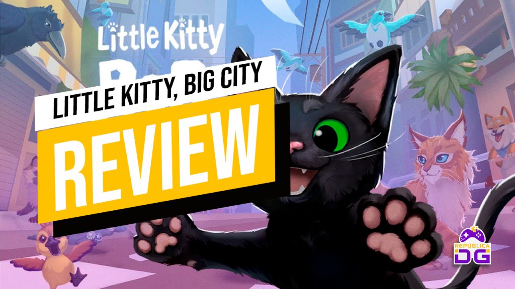 review little kitty big city