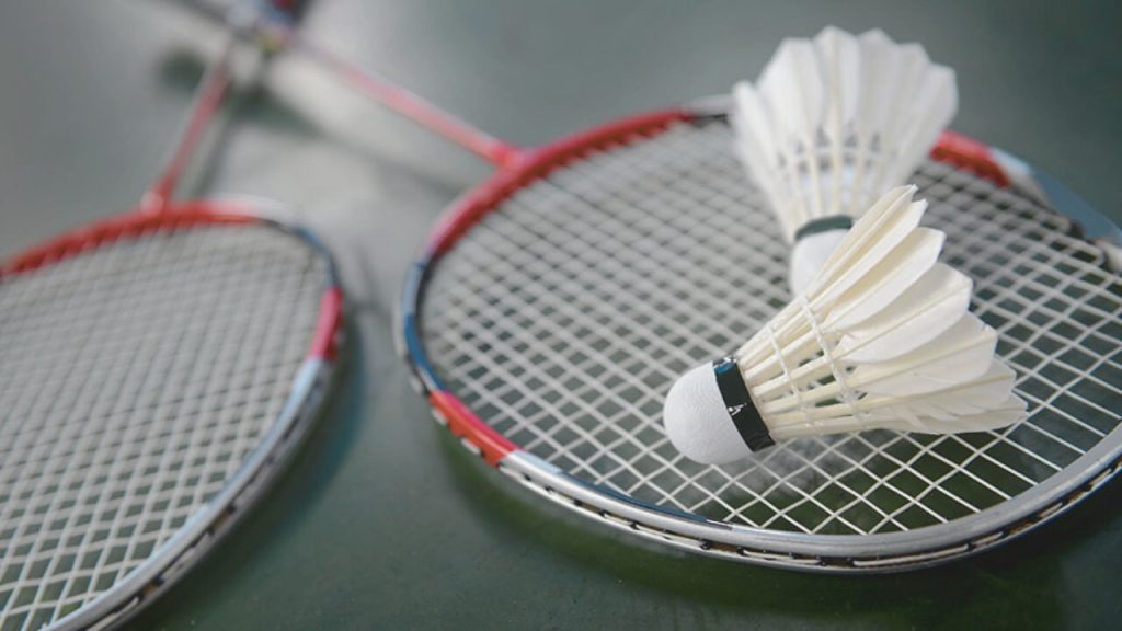 regras badminton iniciantes