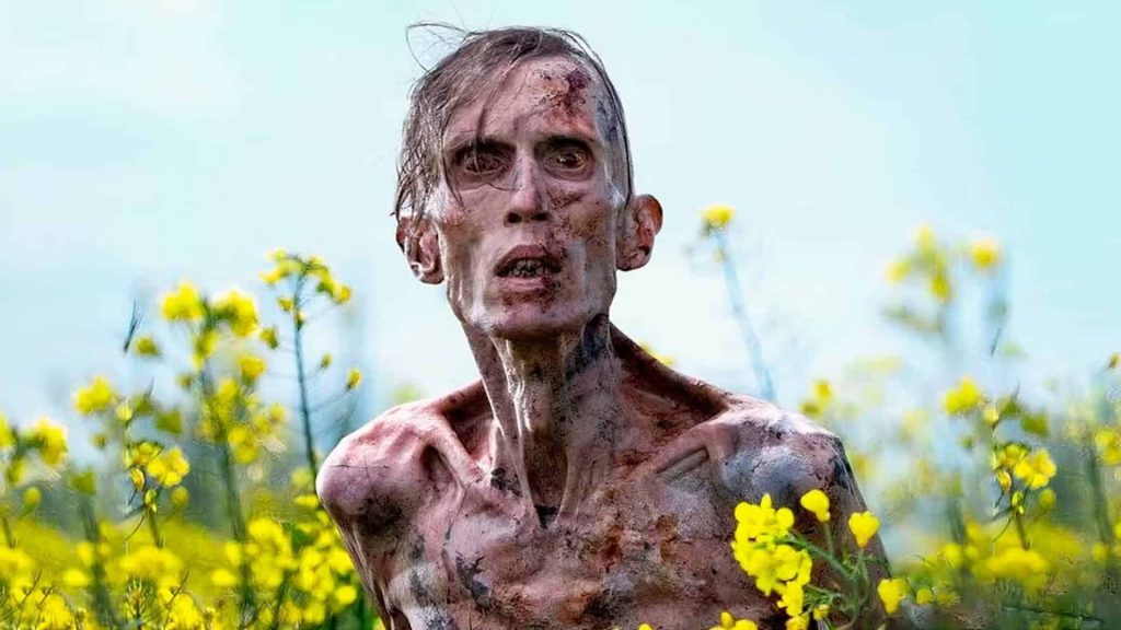filmes terror streamings